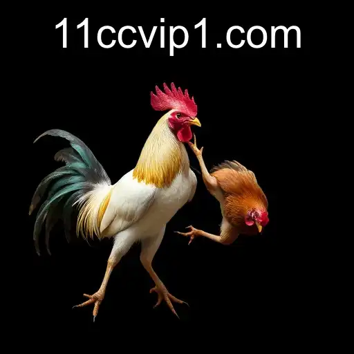 Exploring Online Sabong: The Growth and Impact of 11cc.com